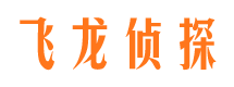 台山侦探